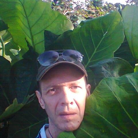 Escritor: Sergio Salas