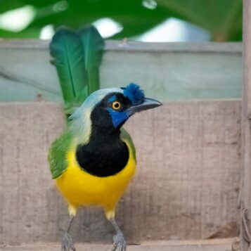 0f2d6680-fd40-4551-aeec-c63001a1db1a