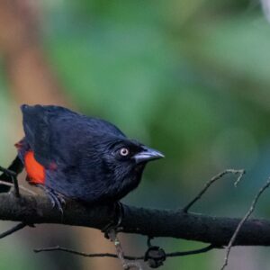 42c6b96c-7a0f-4a76-b8ad-77bf818c5858