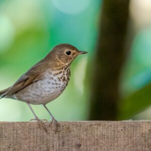 433697cc-0fc9-4826-89bf-dda744c7c09a