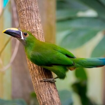 47753690-a7ac-4f71-80a6-1f4b66d16efa