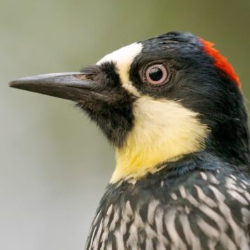 5b7aa9f1-4143-4040-ad73-7a3c0b793550