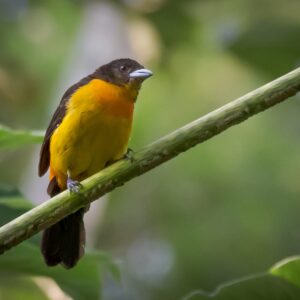 61675282-475a-492c-8b70-3ec79402b5b6