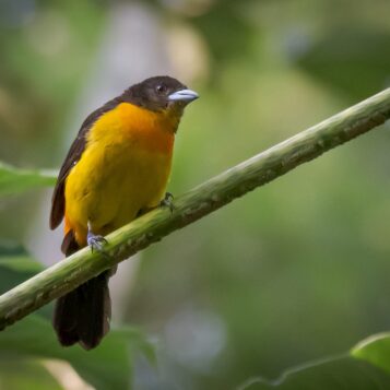 61675282-475a-492c-8b70-3ec79402b5b6