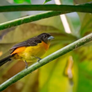 af01bef8-140b-4183-b36f-012d36fa2903