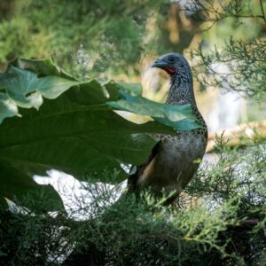 ba84910b-620a-47a2-a4e8-b7f0e5ce41ff