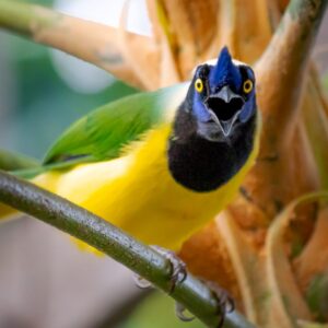 d2b43e58-9524-4112-b962-21f06c7f1f21