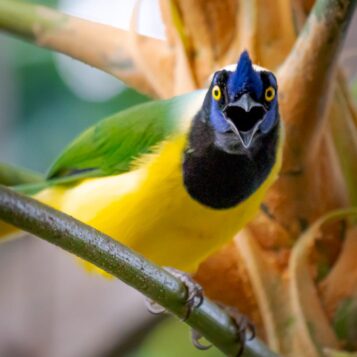 d2b43e58-9524-4112-b962-21f06c7f1f21